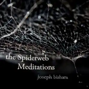 Spiderweb Meditation #5