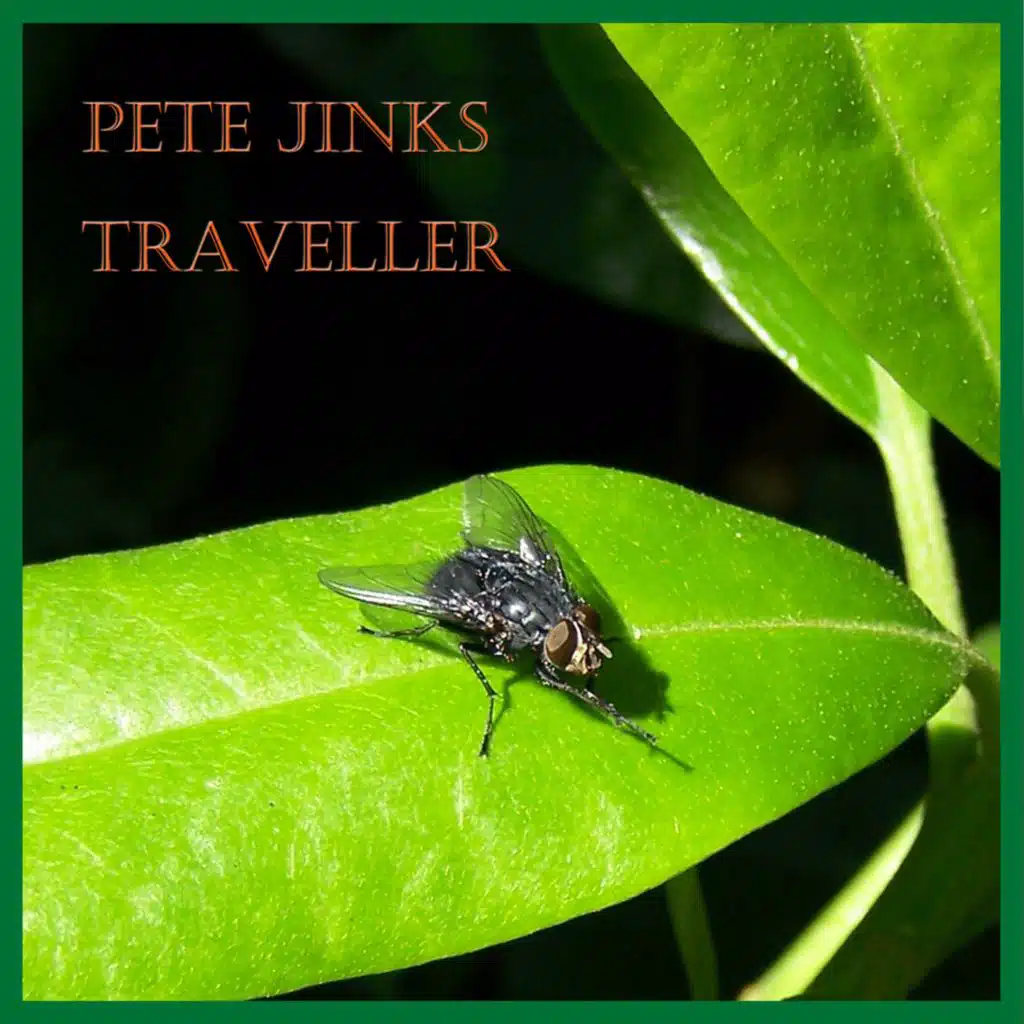 Traveller