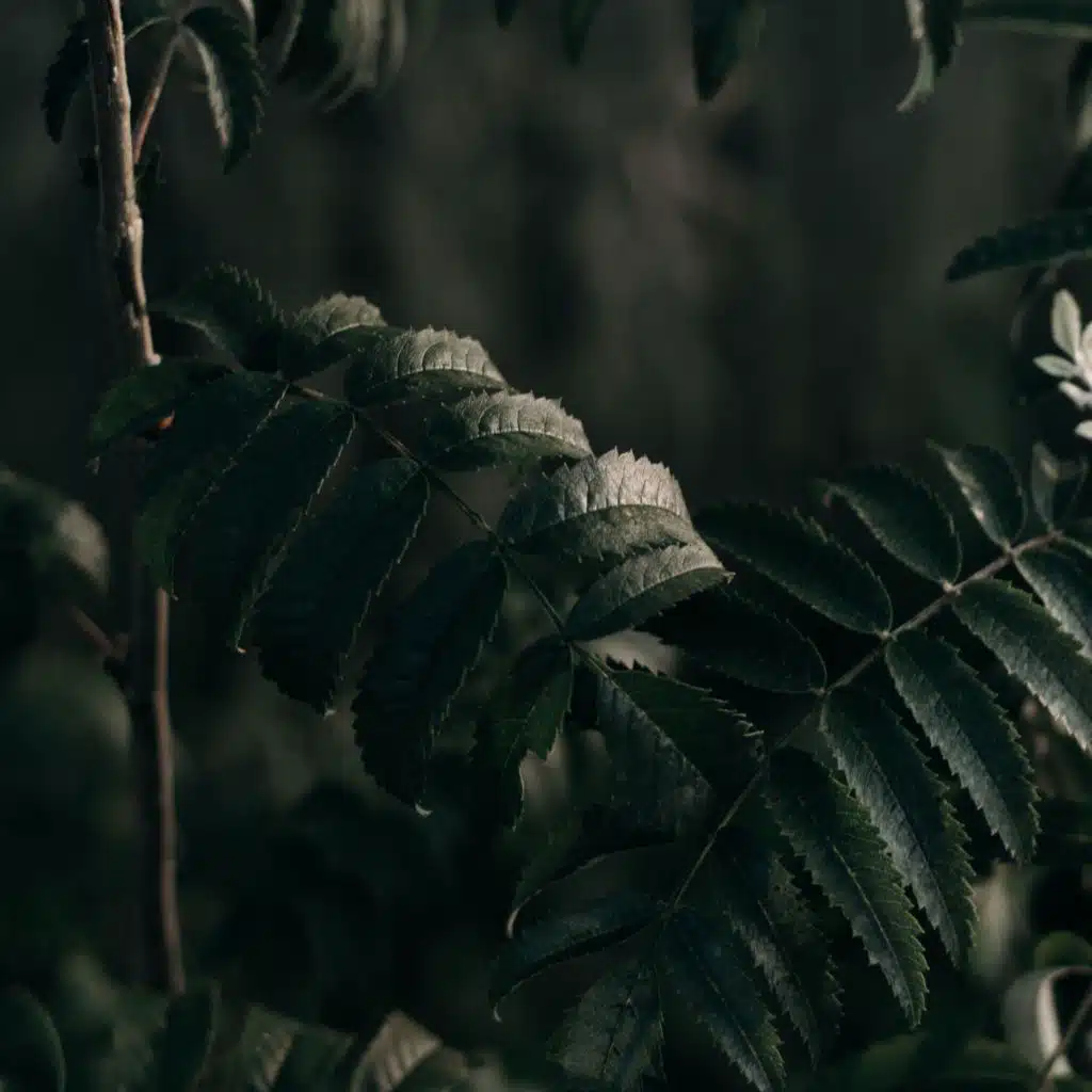 Comforting New Age Music