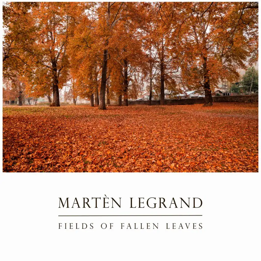 Fields Of Fallen Leaves
