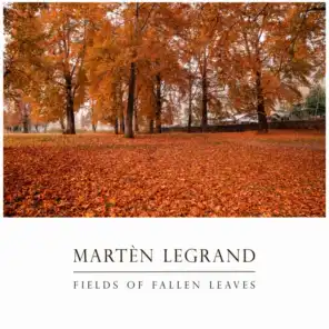 Fields Of Fallen Leaves