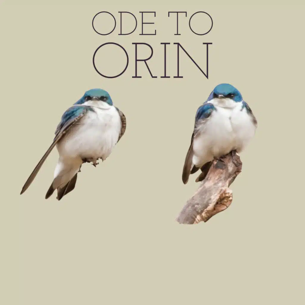 Ode To Orin