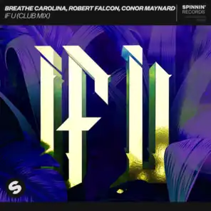 Breathe Carolina, Robert Falcon & Conor Maynard
