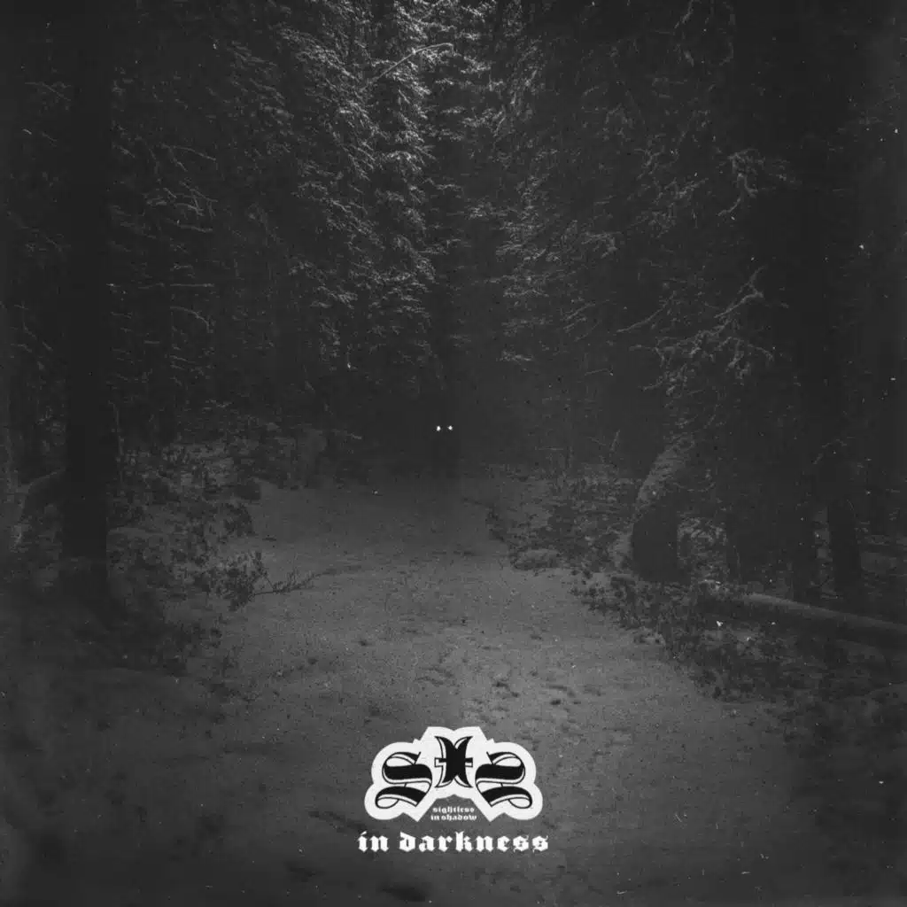 In Darkness