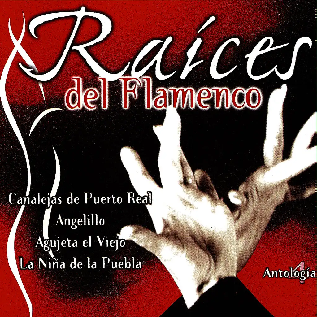 Raíces Del Flamenco (Antología 4)