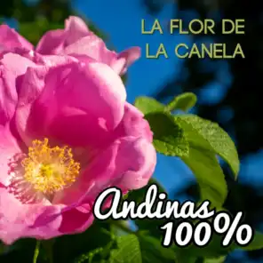 Andinas 100%: La Flor de la Canela