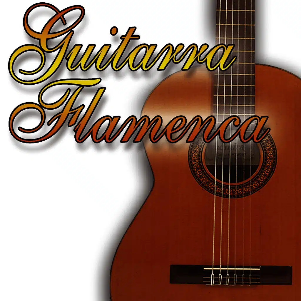 Guitarra Y Cante Flamenco