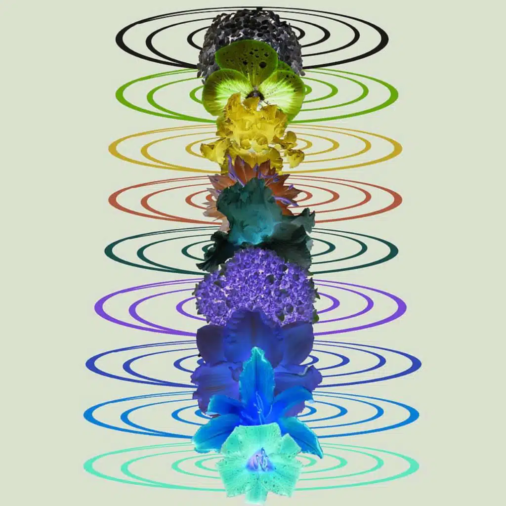 Sound Bath & Solfeggio Sound Bath