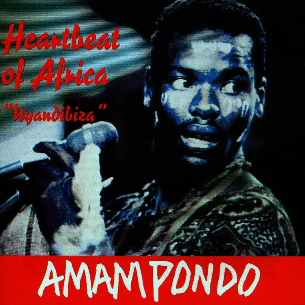 Skulumayele (ft. Dizu Plaatjies )