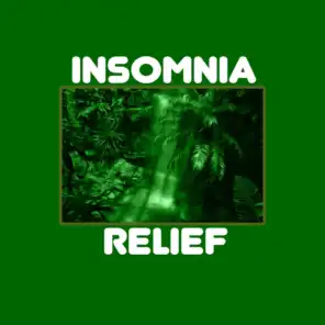 Sounds of Rain : Insomnia Relief