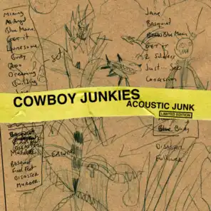 Acoustic Junk (Limited Edition)