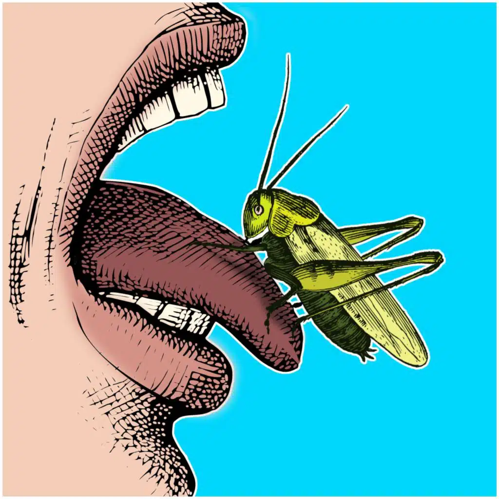 I've Seen That Look Before