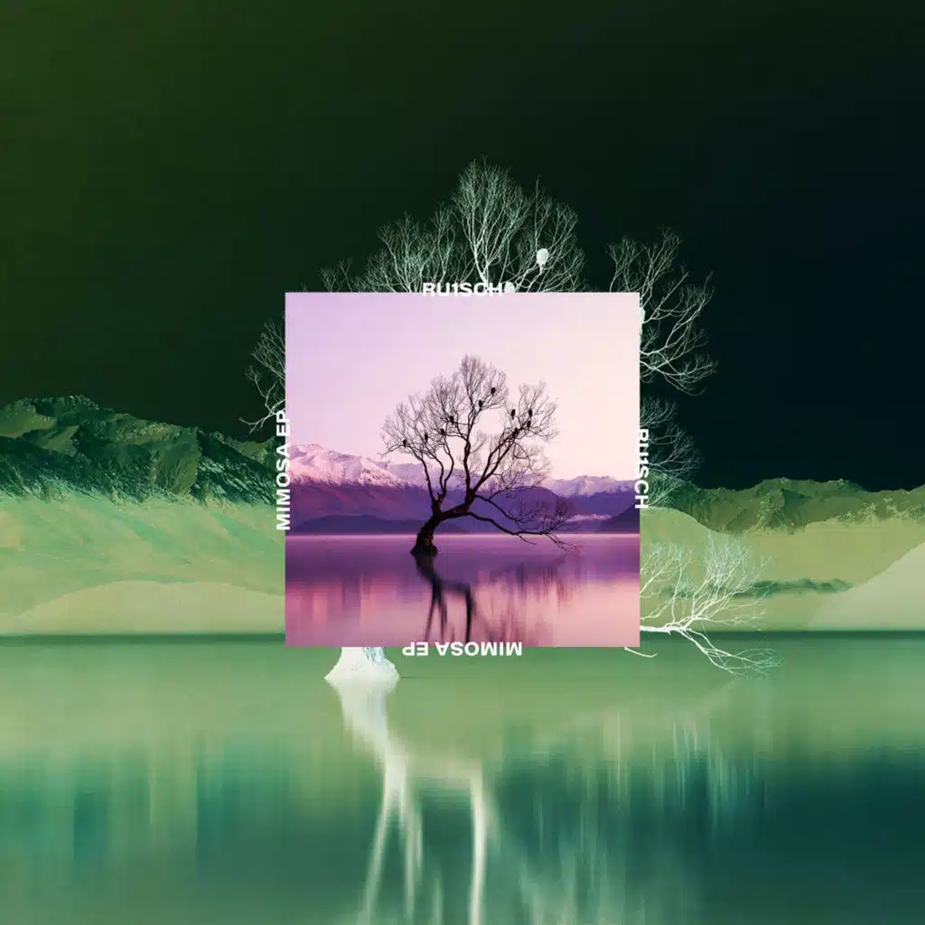 Mimosa EP