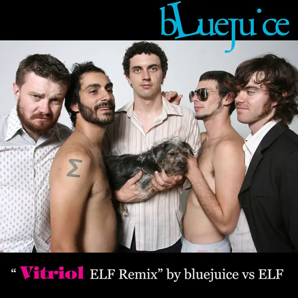 Vitriol (E.L.F Remix)