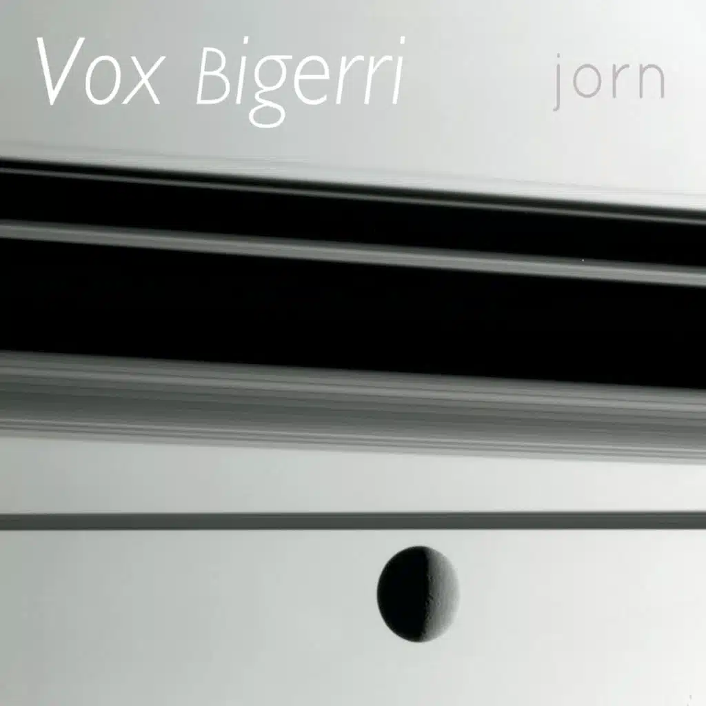 Vox Bigerri