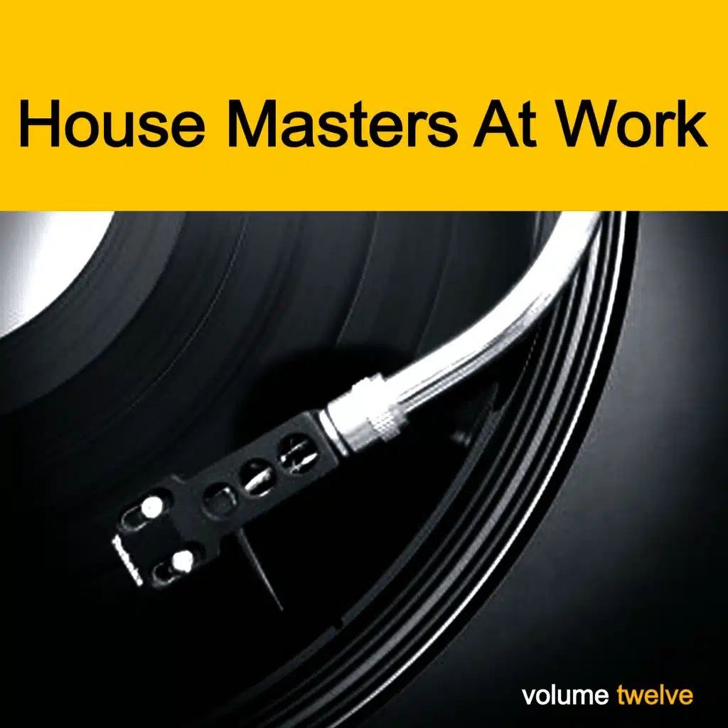House Masters At Work, Vol. 12