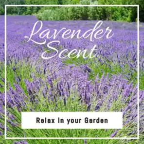 Relax in your Garden : Lavender Scent