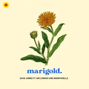 Marigold (feat. Ari Lennox & Mannywellz)