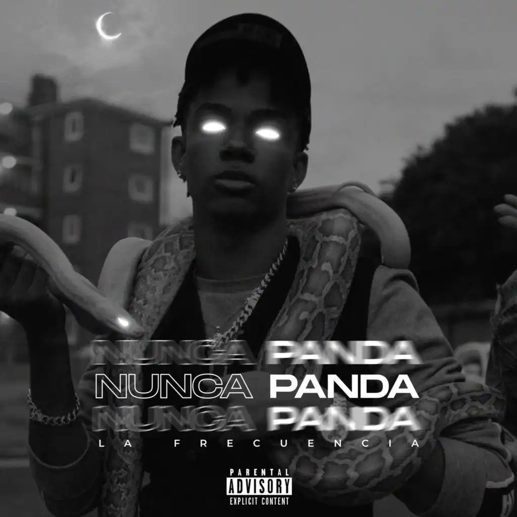 Nunca Panda