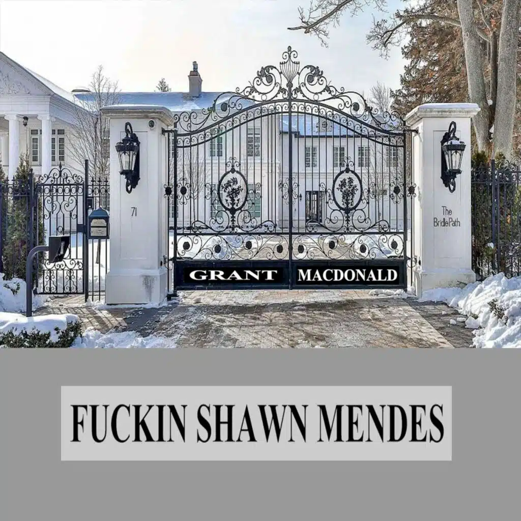 Fuckin' Shawn Mendes