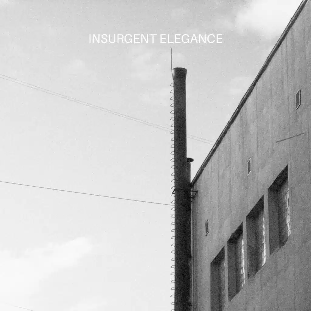 Insurgent Elegance