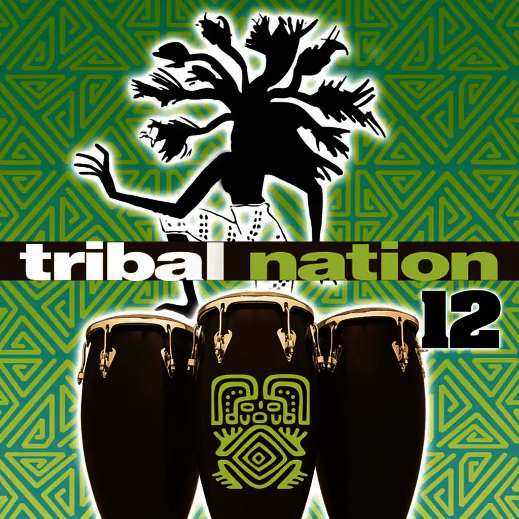 Tribal Nation 12