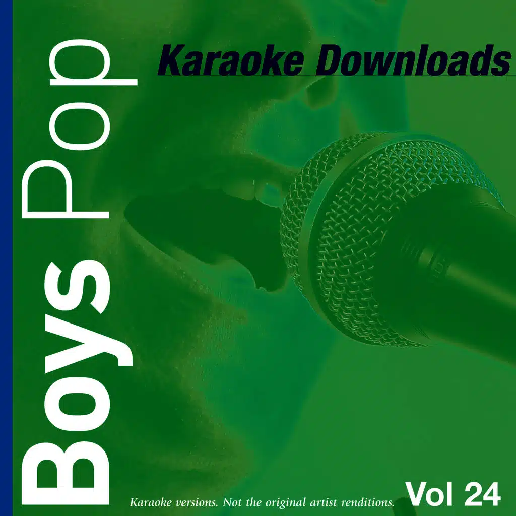 Karaoke Downloads - Boys Pop Vol.24