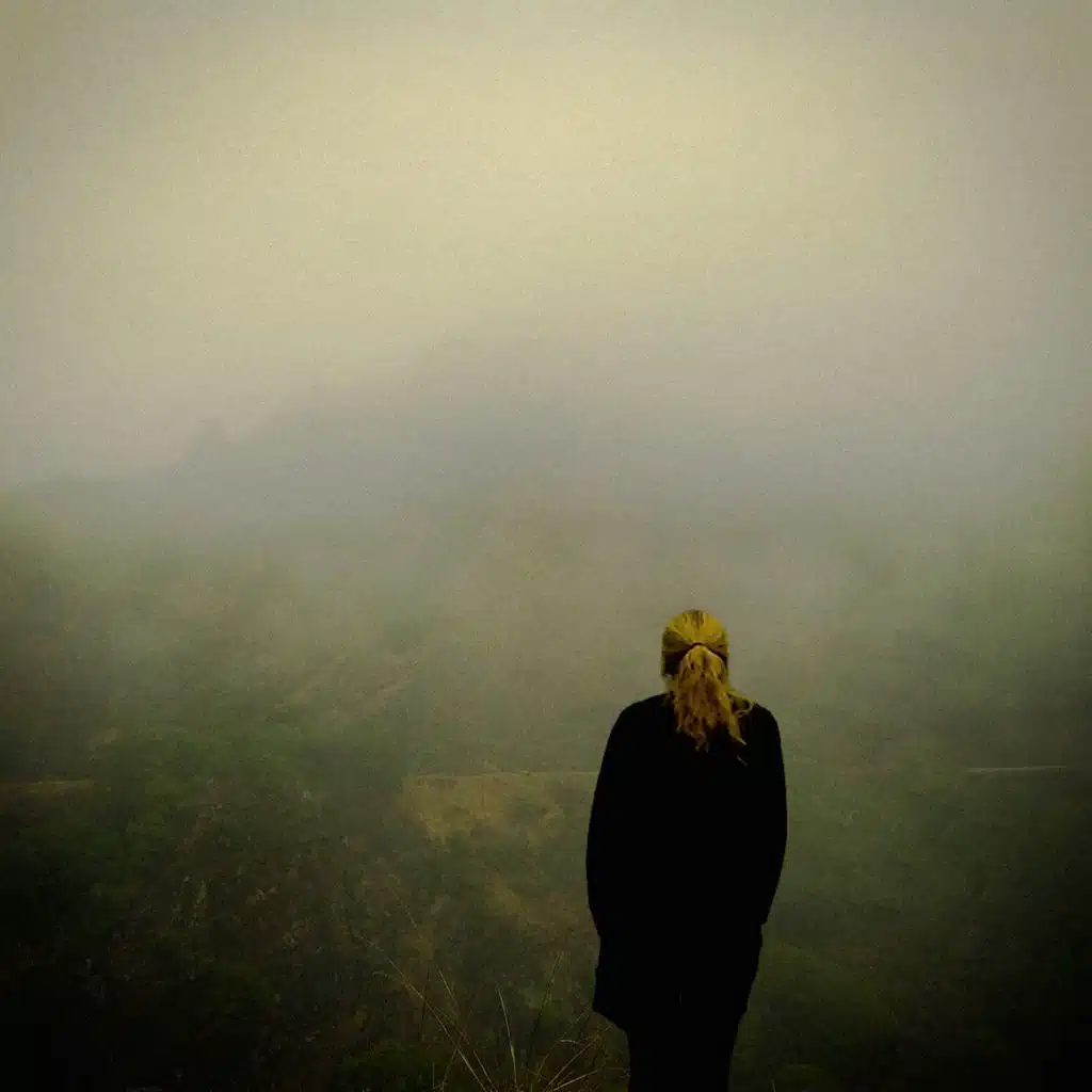 Into the Wild