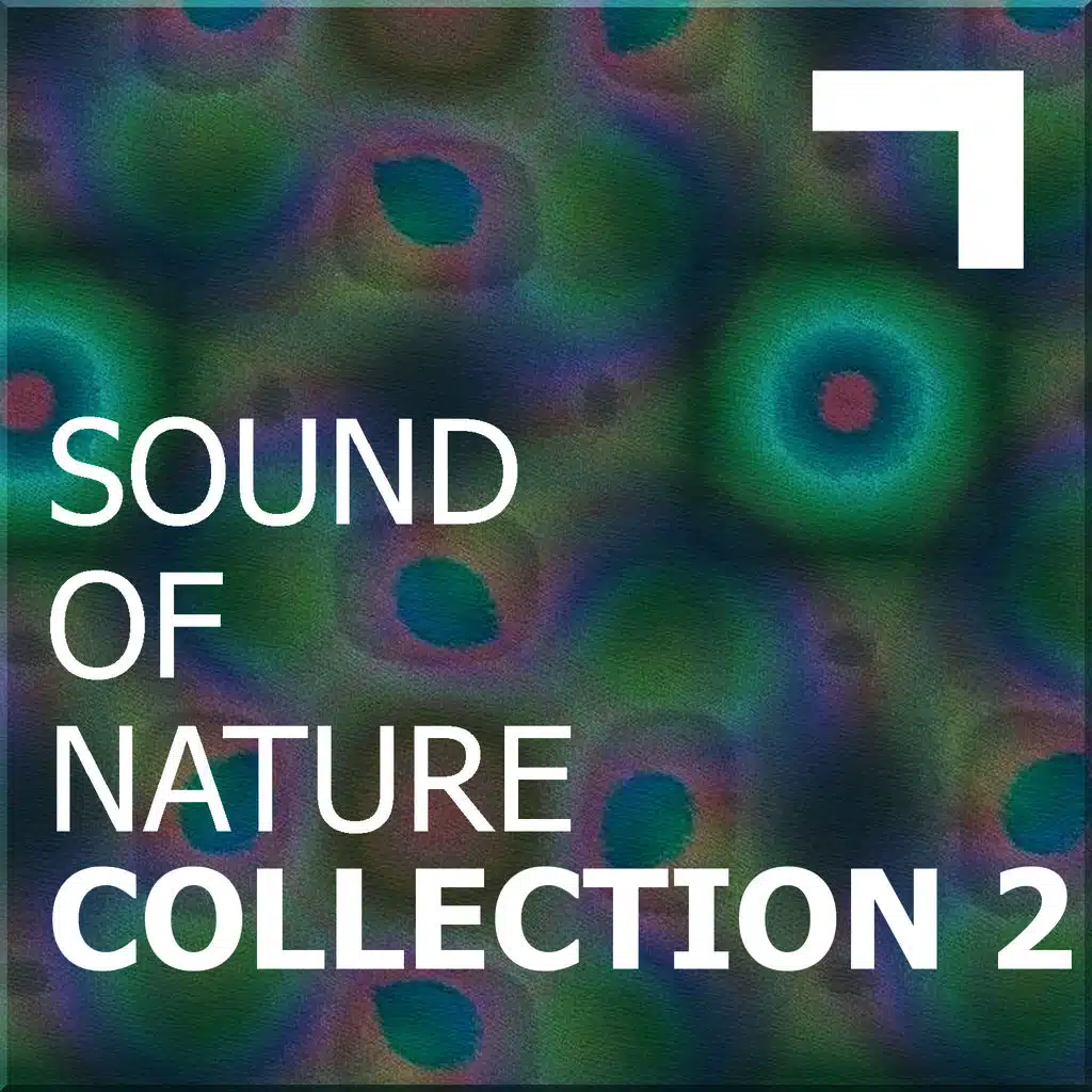 Sound of the nature – collection 2