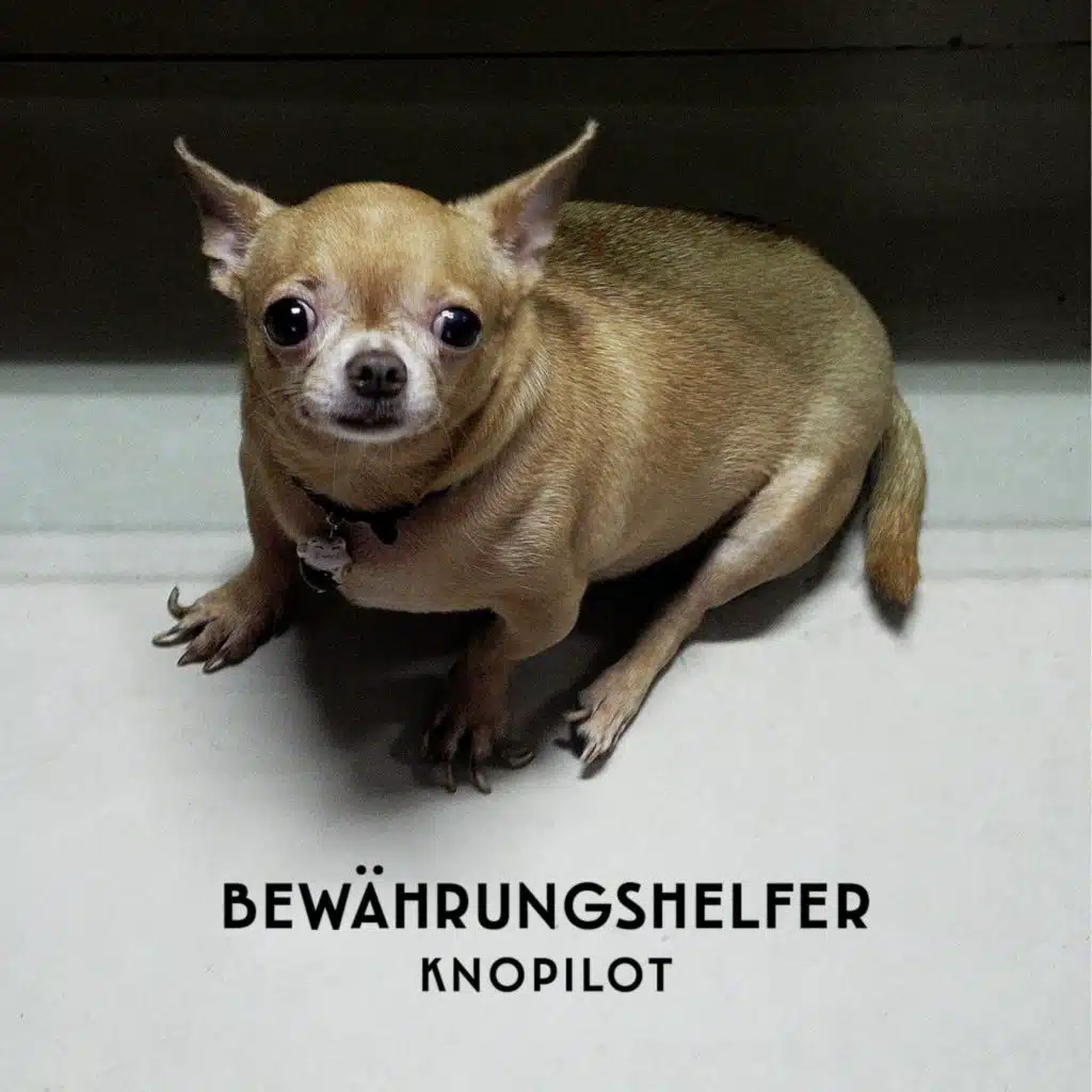 Bewährungshelfer