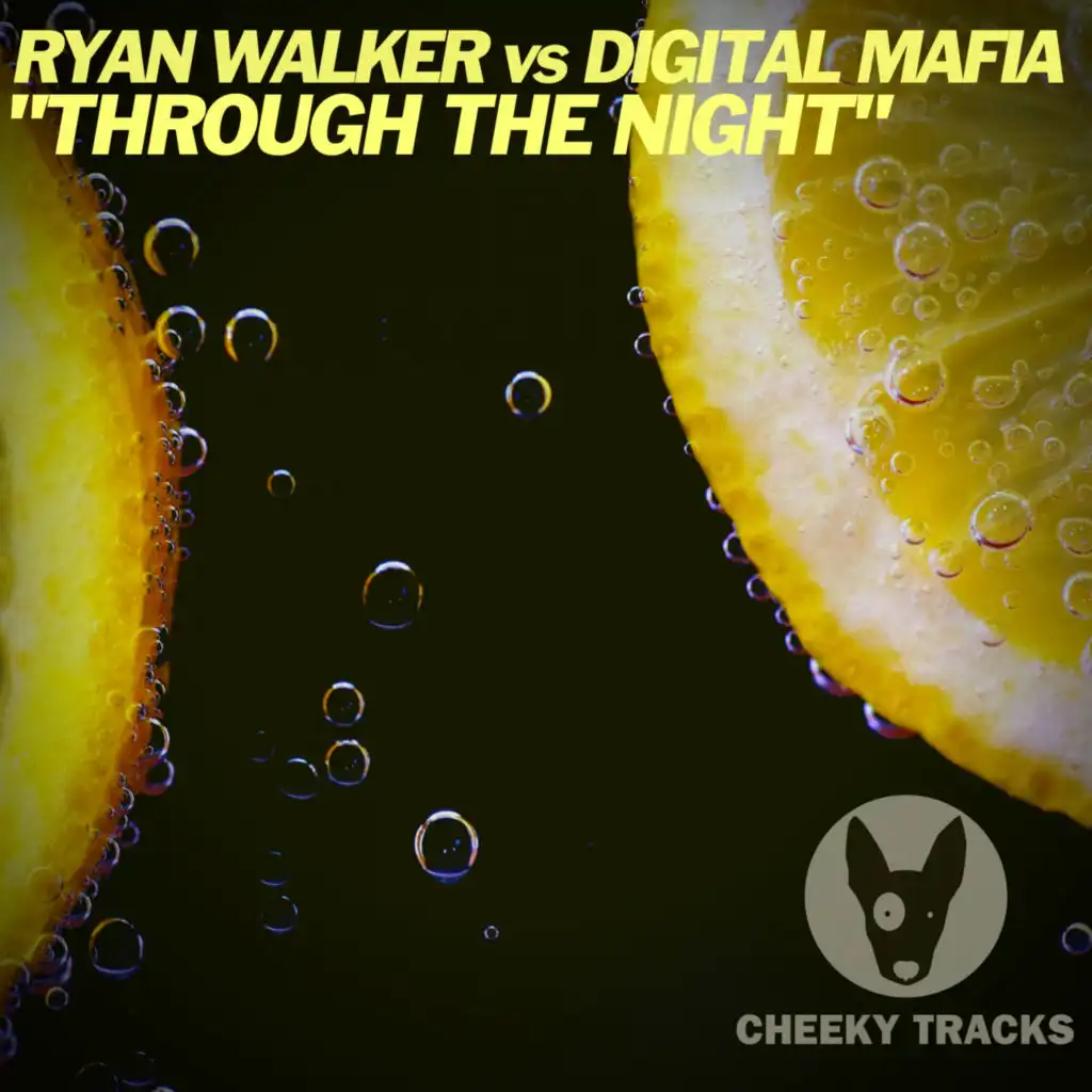 Ryan Walker (DJ) & Digital Mafia