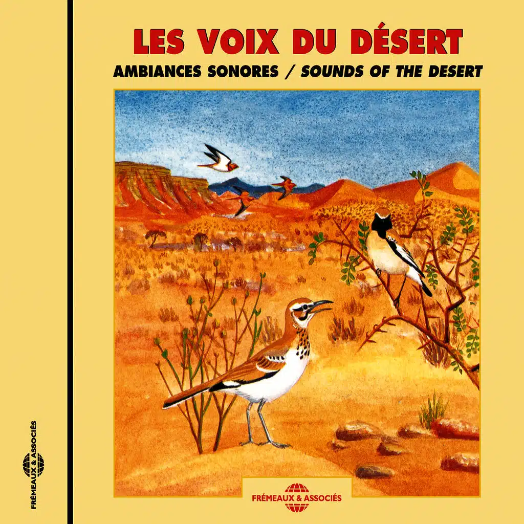 Les Voix Du Désert