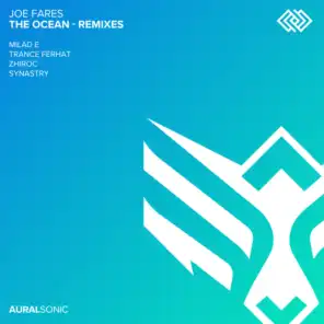 The Ocean - Remixes