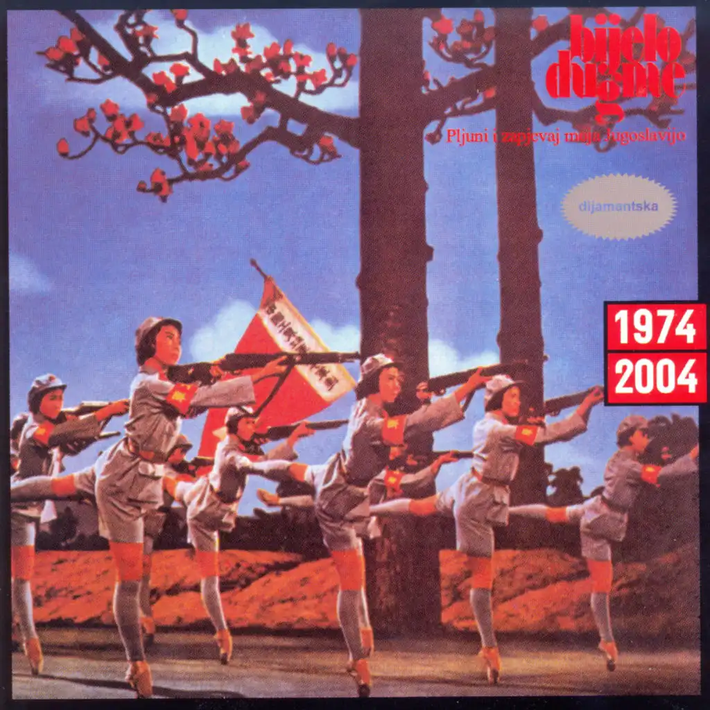 Pjesma za malu pticu