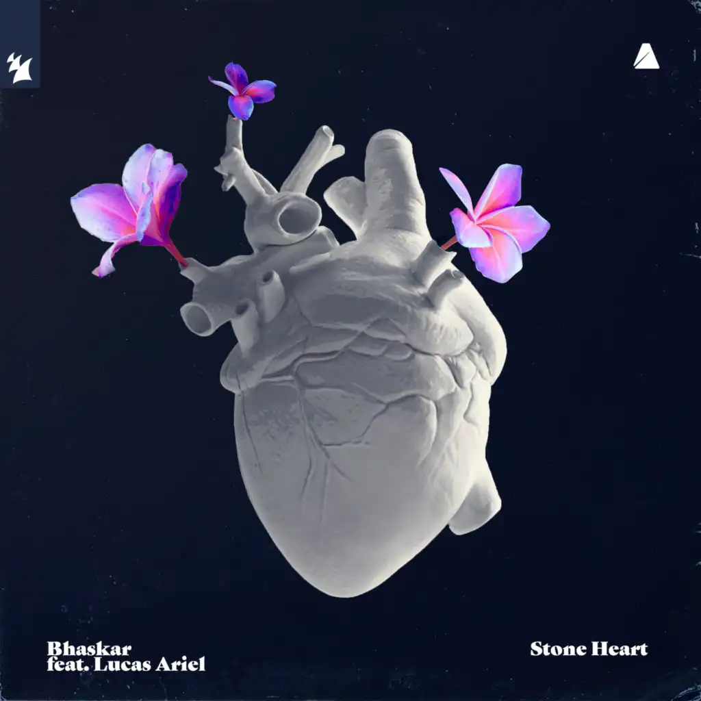 Stone Heart (feat. Lucas Ariel)