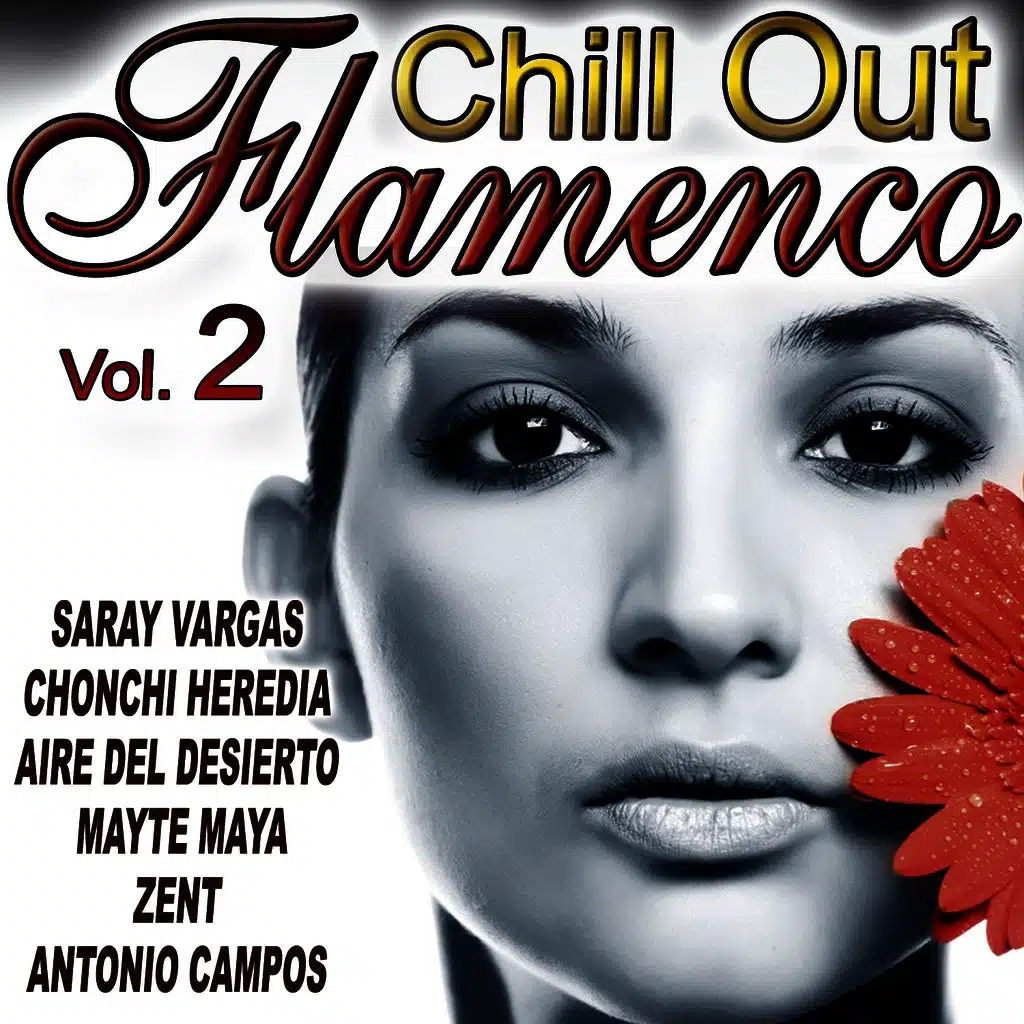 Flamenco Chill Out Vol. 2