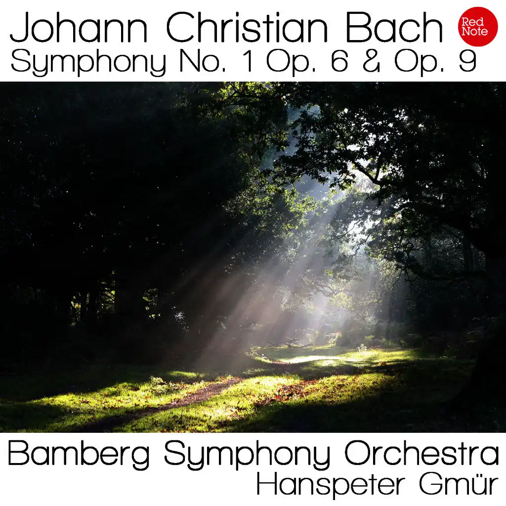 Bamberg Symphony Orchestra, Hanspeter Gmür
