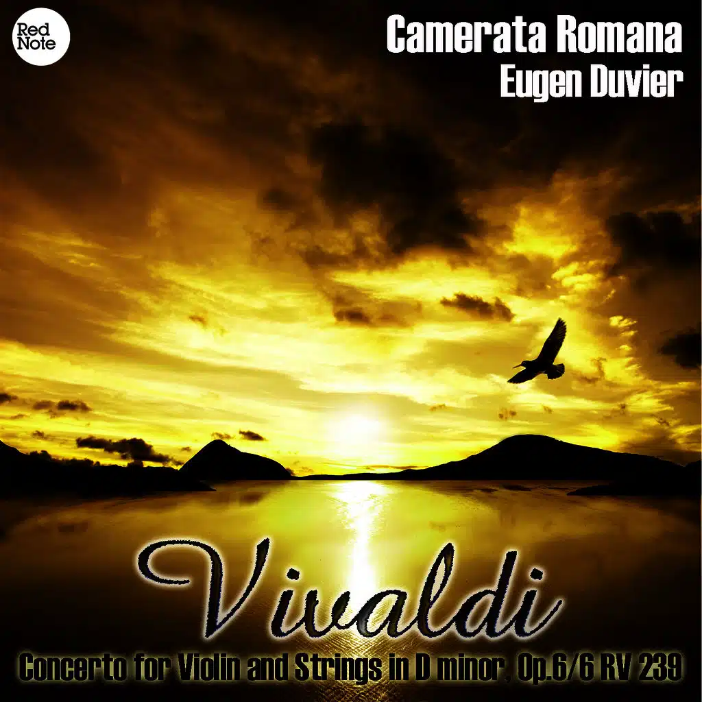 Vivaldi: Concerto for Violin and Strings in D minor, Op.6/6 RV 239