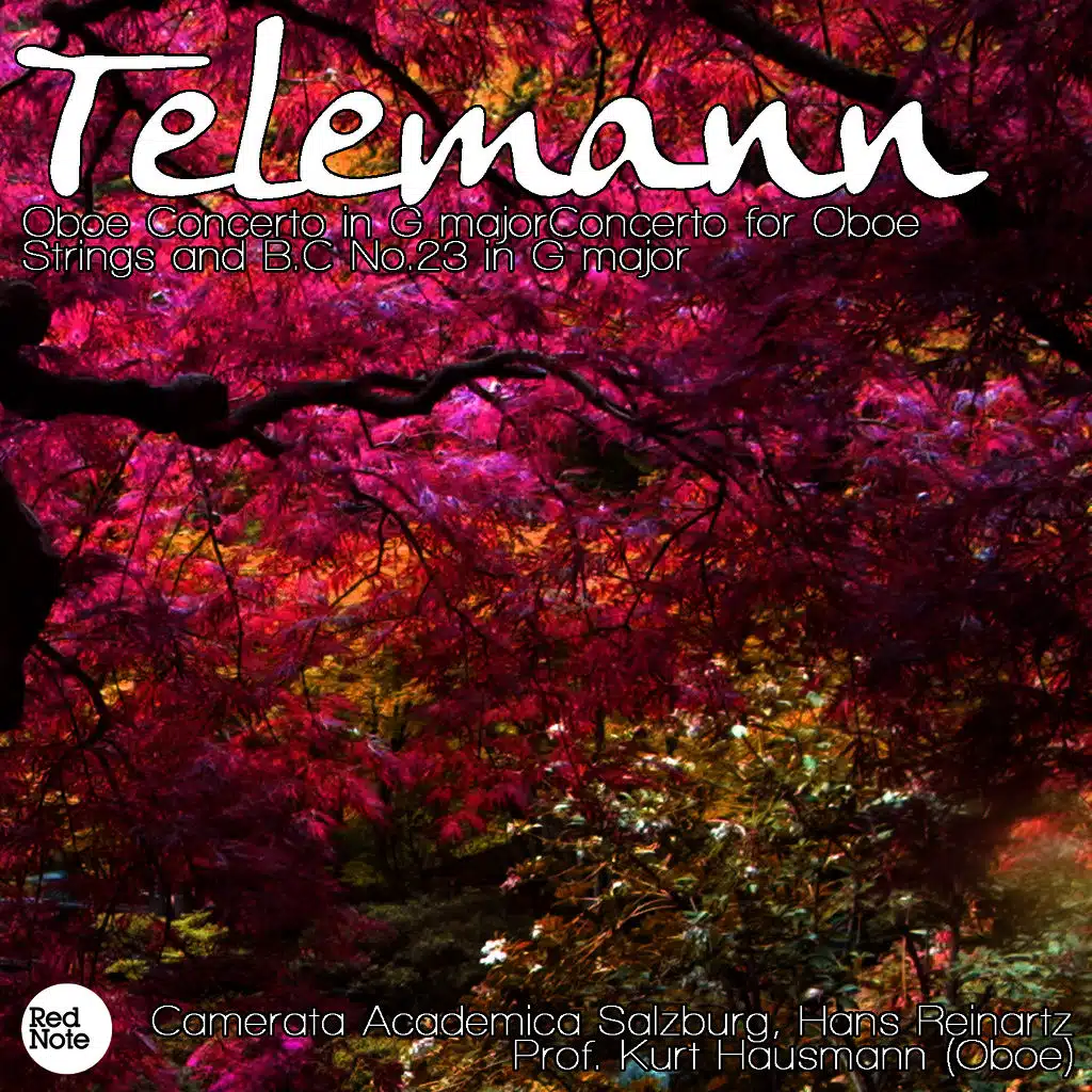 Camerata Academica Salzburg & Hans Reinartz