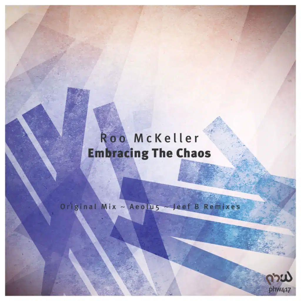 Embracing the Chaos (feat. Jeef B & Aeolu5)