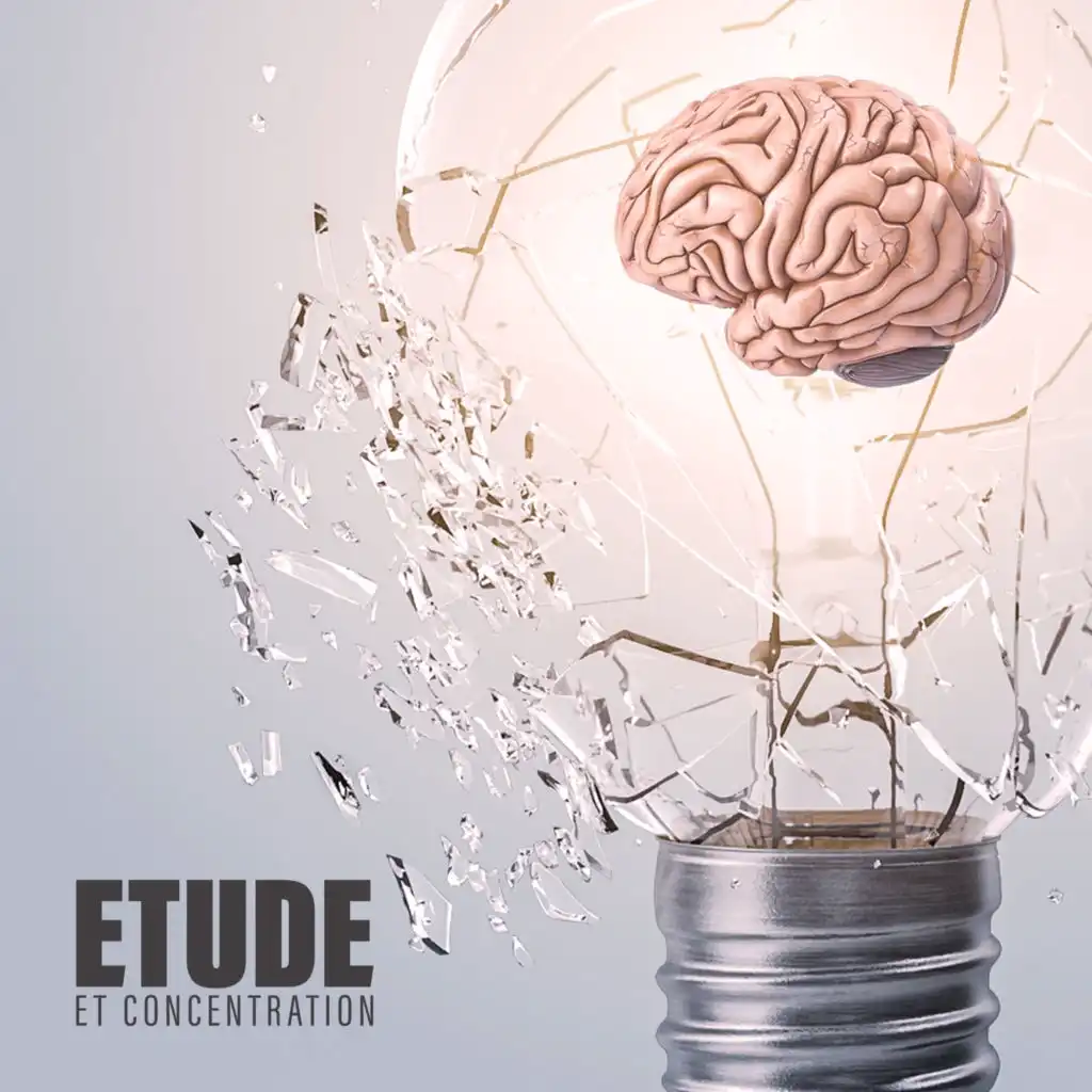 Etude et concentration - Collection de musique zen parfaite pour lire et écrire, Aide aux devoirs, Stimulation intellectuelle, Clé du succès