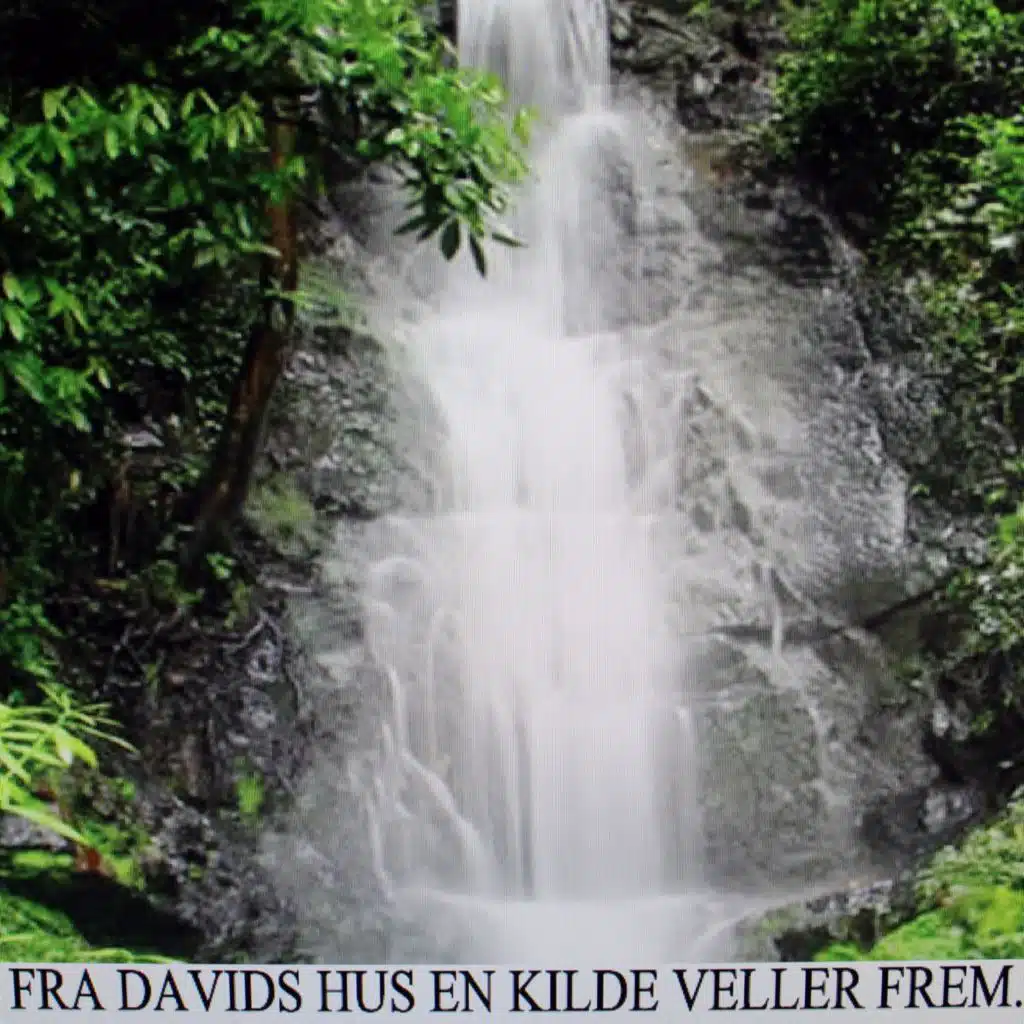 Fra Davids Hus en Kilde Veller Frem Cd5