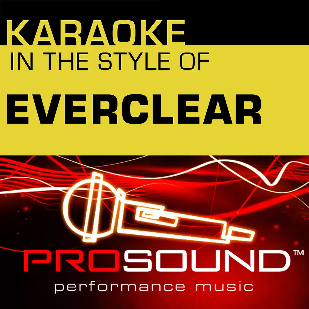 Wonderful (Karaoke Lead Vocal Demo)[In the style of Everclear]