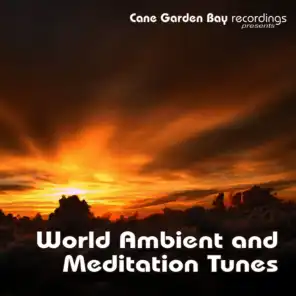 World Ambient and Meditation Tunes