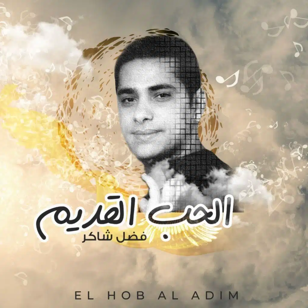 مافي مجال