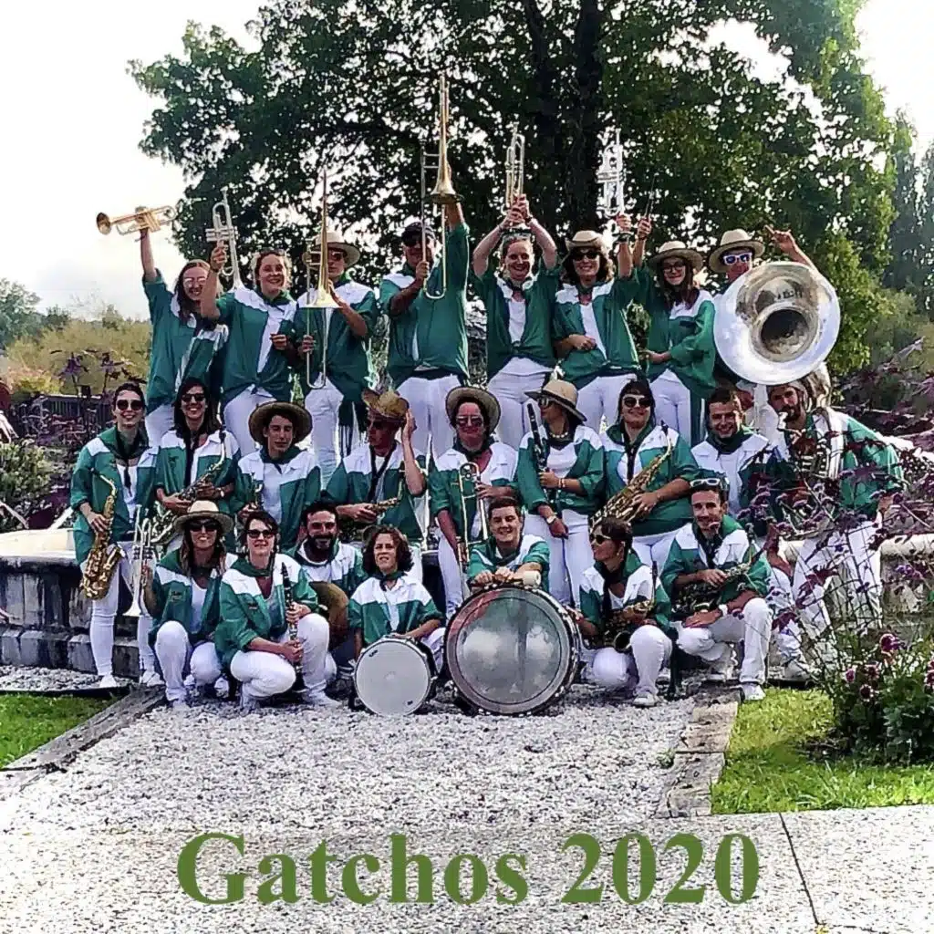 Banda Los Gatchos