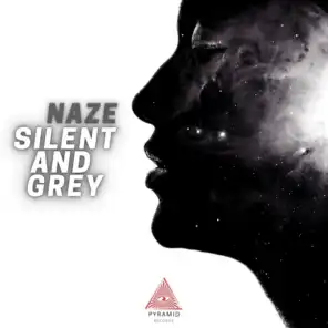 Silent and Grey (Radio Version)