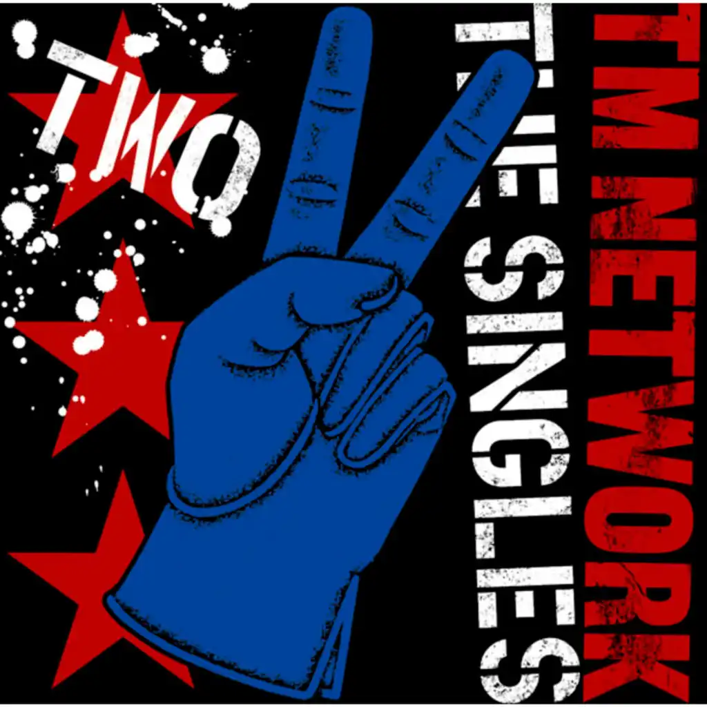 TM NETWORK THE SINGLES 2