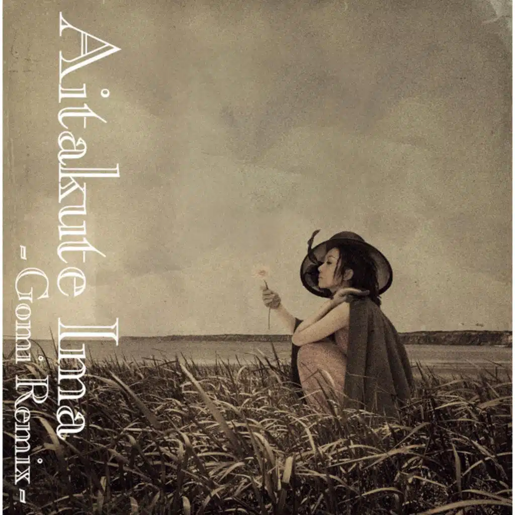 Aitakute Ima (Gomi Remix)