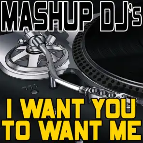 I Want You To Want Me (Re-Mix Package For DJ's)
